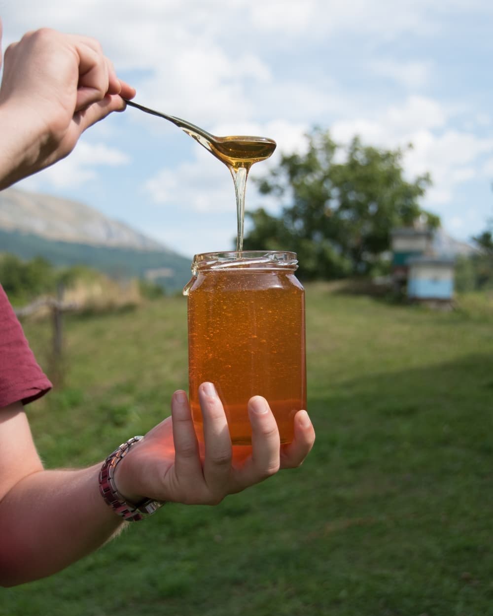 Med curi sa kašike